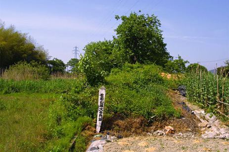 佐和山城写真