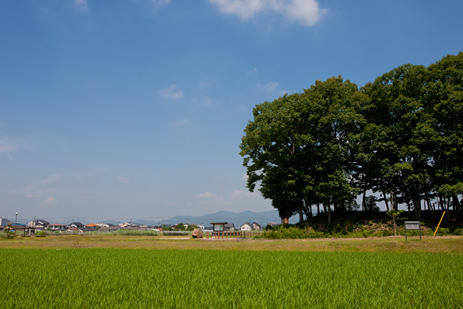 備中高松城蛙ヶ鼻築提跡