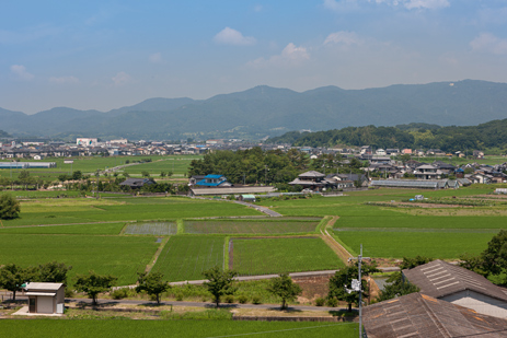 宗治蓮と備中高松城本丸