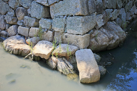 三原城