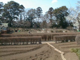 鷲城・二の郭土塁