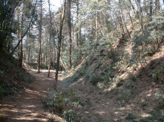 鷲城・本郭南側堀底