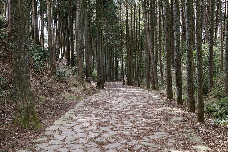 箱根旧街道