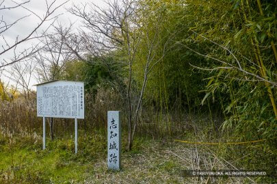 志知城