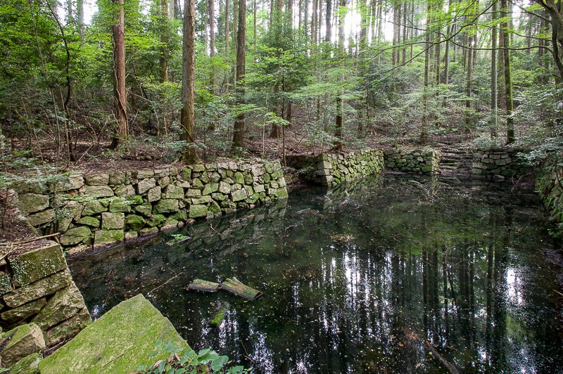 大松山に残る大池