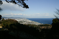 石垣山一夜城から小田原城を望む