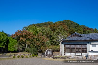 安芸城の城山