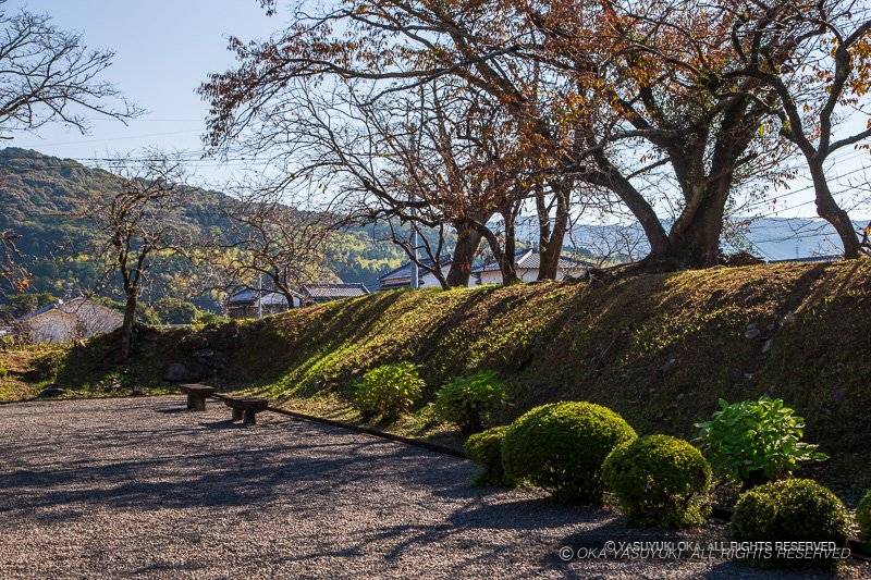 安芸城 居館の土塁