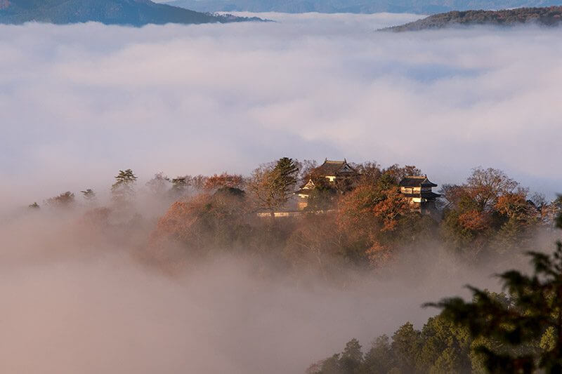 備中松山城の雲海