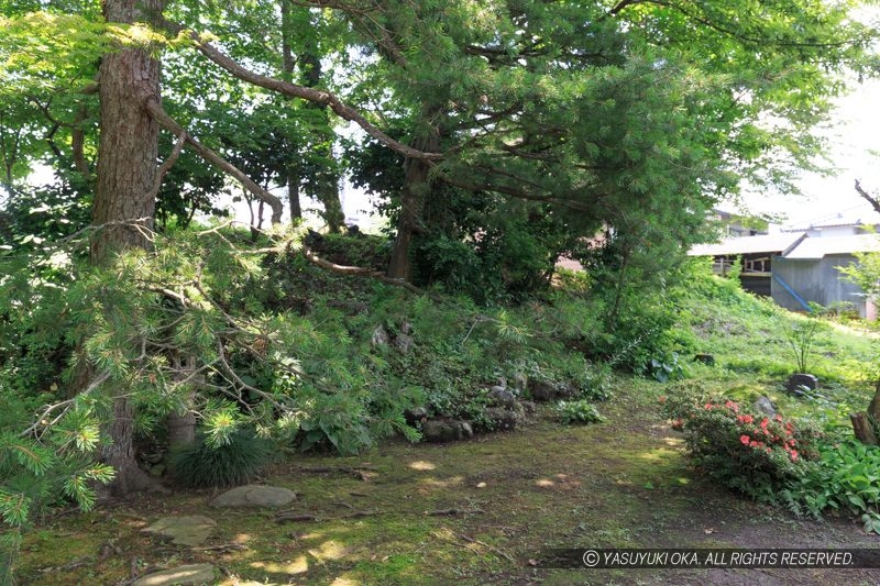 武家屋敷旧田村家庭園に残る大野城外堀土塁