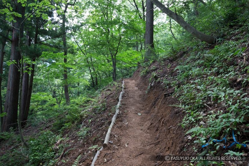 戌山城の登山道