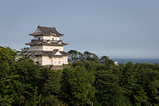 八幡山古郭東曲輪からの眺め