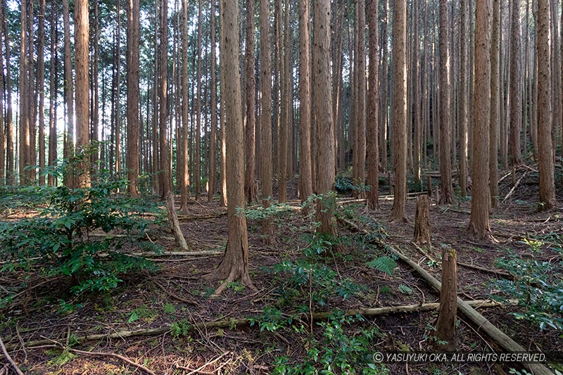 信貴山城・松永屋敷