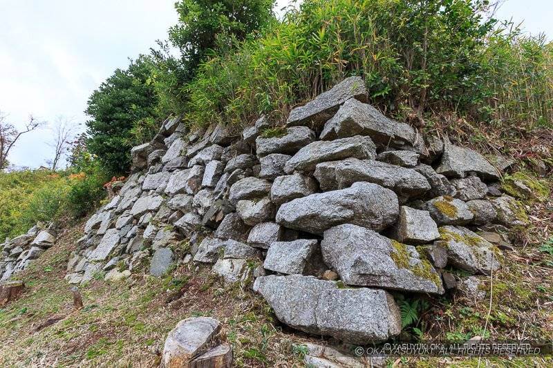 水口岡山城の本丸下の石垣