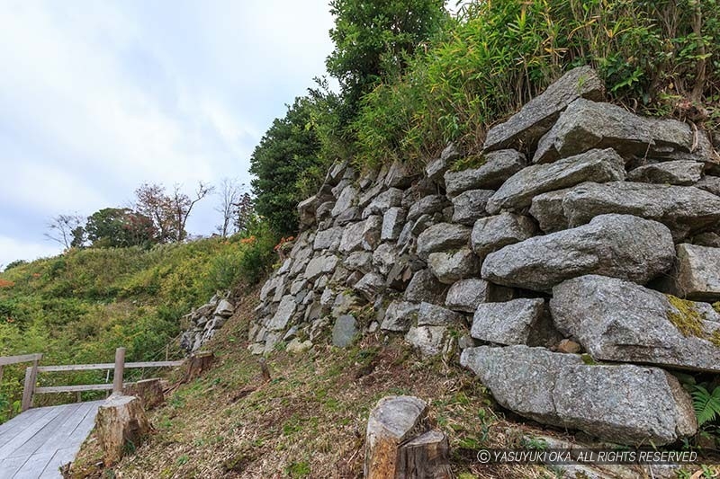 水口岡山城の本丸石垣