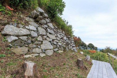 水口岡山城