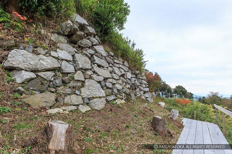 水口岡山城