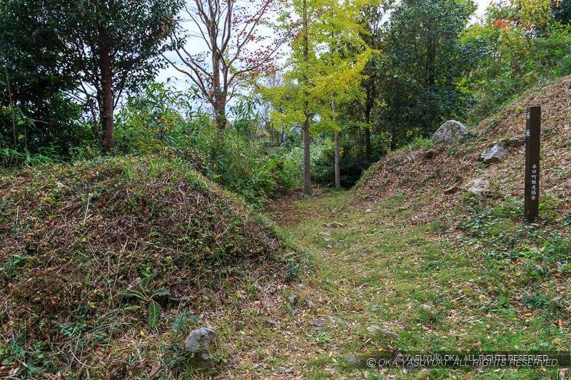 水口岡山城の食い違い虎口