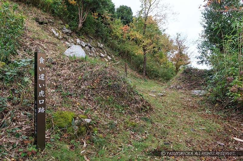 水口岡山城の食い違い虎口