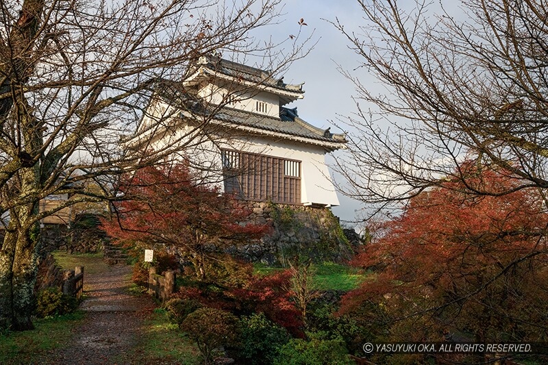 越前大野城