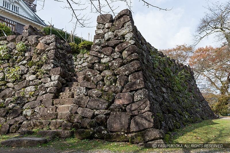 越前大野城