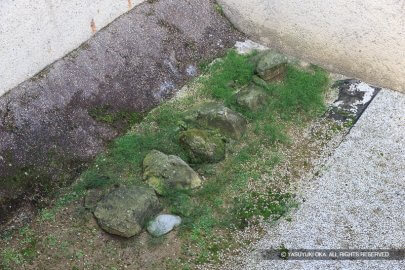 北ノ庄城の根石
