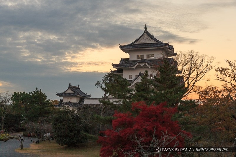 伊賀上野城の残照