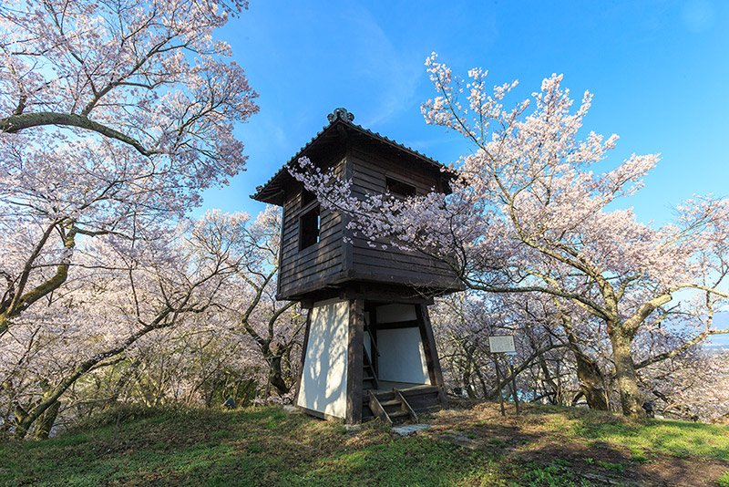 高遠城の太鼓櫓