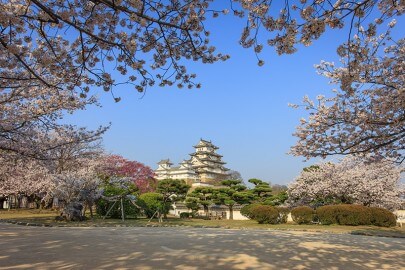 西の丸から姫路城天守を望む