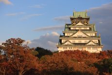 大阪城の紅葉