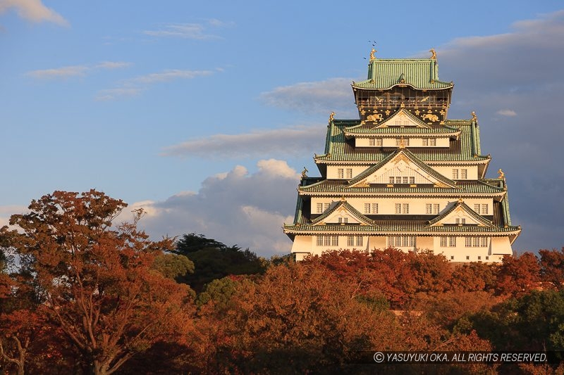 大阪城の紅葉