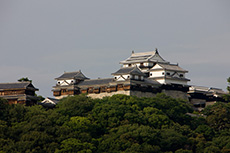 「ホテルJALシティ松山」から望む