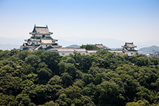 和歌山市役所からの眺望