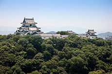 和歌山市役所からの眺望