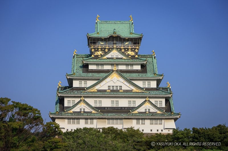大阪城の撮影スポット：西の丸庭園から