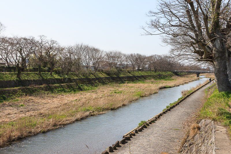 芹川（善利川）