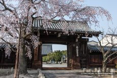 聚楽第裏門（妙覚寺）