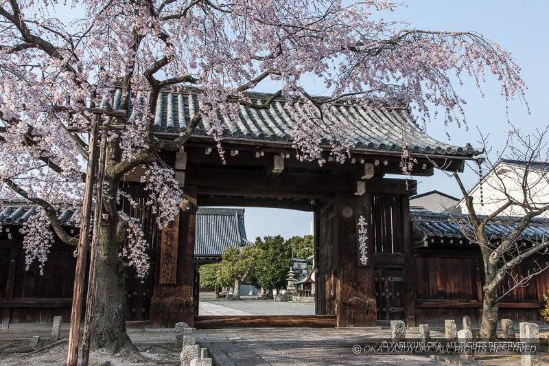 聚楽第裏門（妙覚寺）
