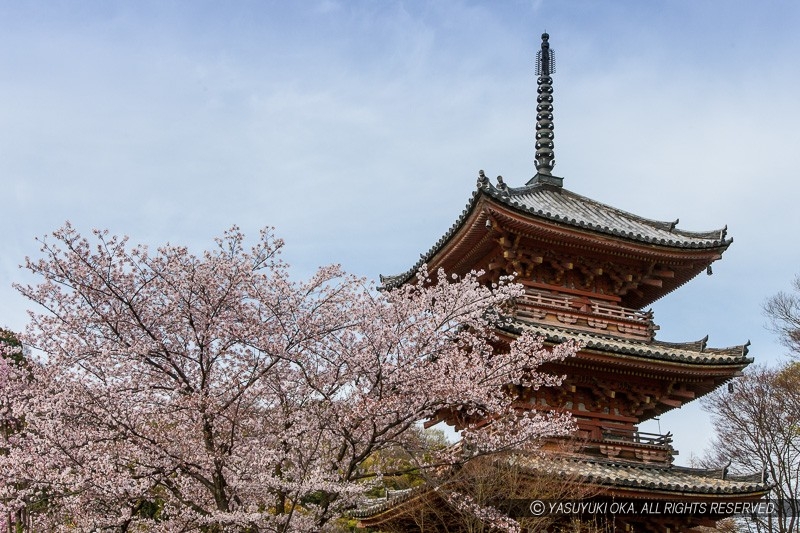 宝積寺の三重の塔