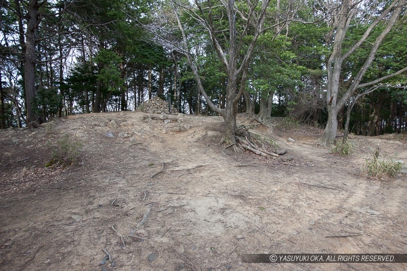 山崎城（天王山城）本丸と天守台