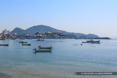 湾内から望む大可島城