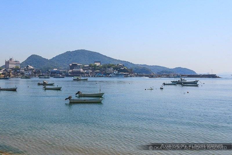 湾内から望む大可島城