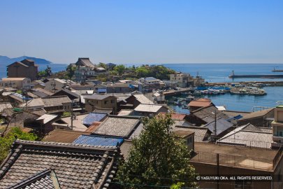 鞆城から望む大可島城