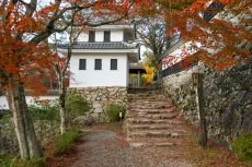 紅葉が美しい郡上八幡城