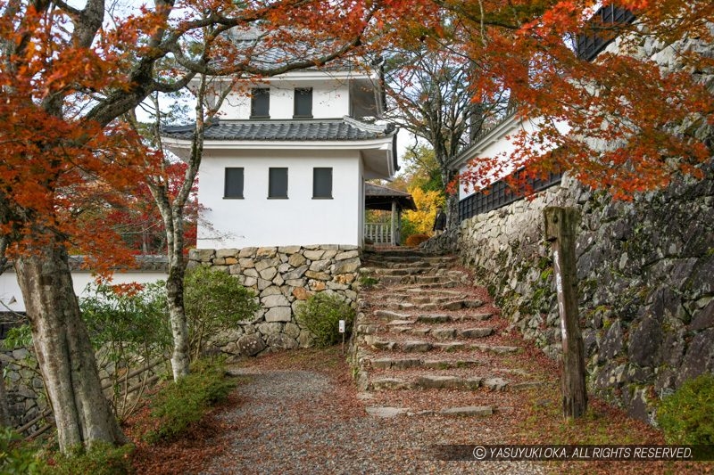 紅葉が美しい郡上八幡城 お城めぐりfan