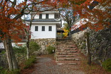 郡上八幡城の紅葉