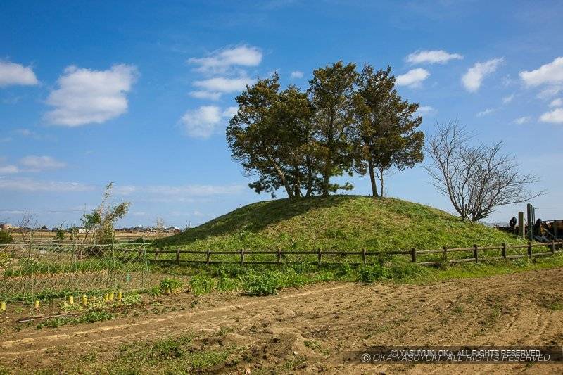 松ヶ島城本丸伝天守台(2)