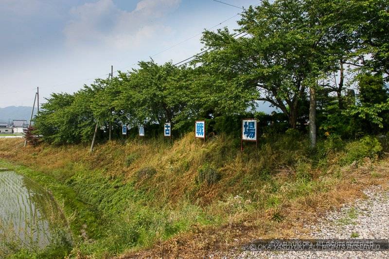 姉川の古戦場