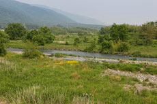 姉川の古戦場