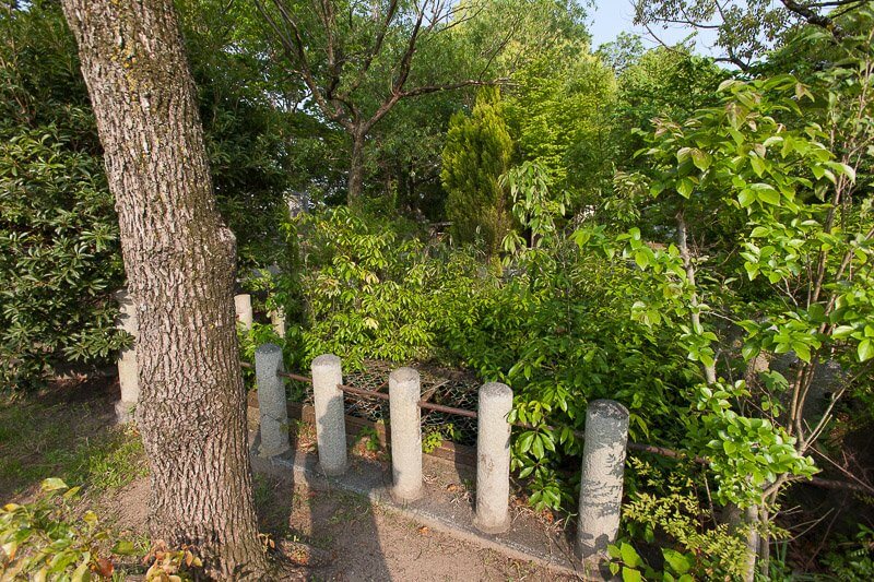 三木城上の丸井戸